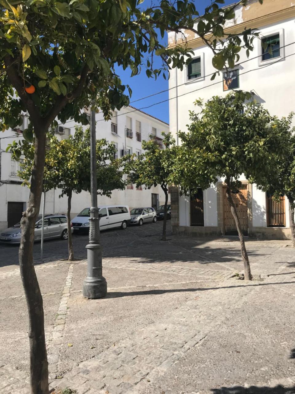 Apartamento !!Vive Jerez!! Херес-де-ла-Фронтера Экстерьер фото